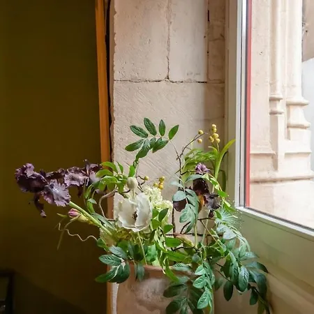 Cote Paradis - De Charme Au Centre-ville De アパート ボーヌ